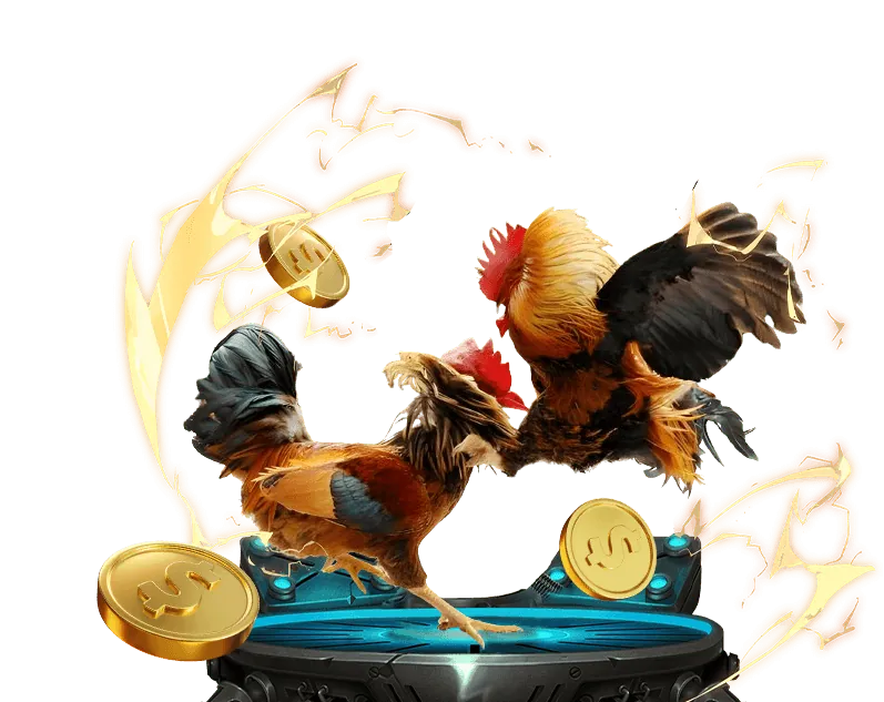 Chiến lược thắng cược đá gà